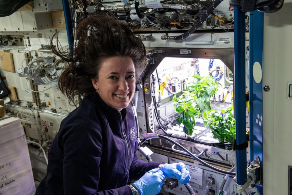 How New Mexico chiles ended up on the space station