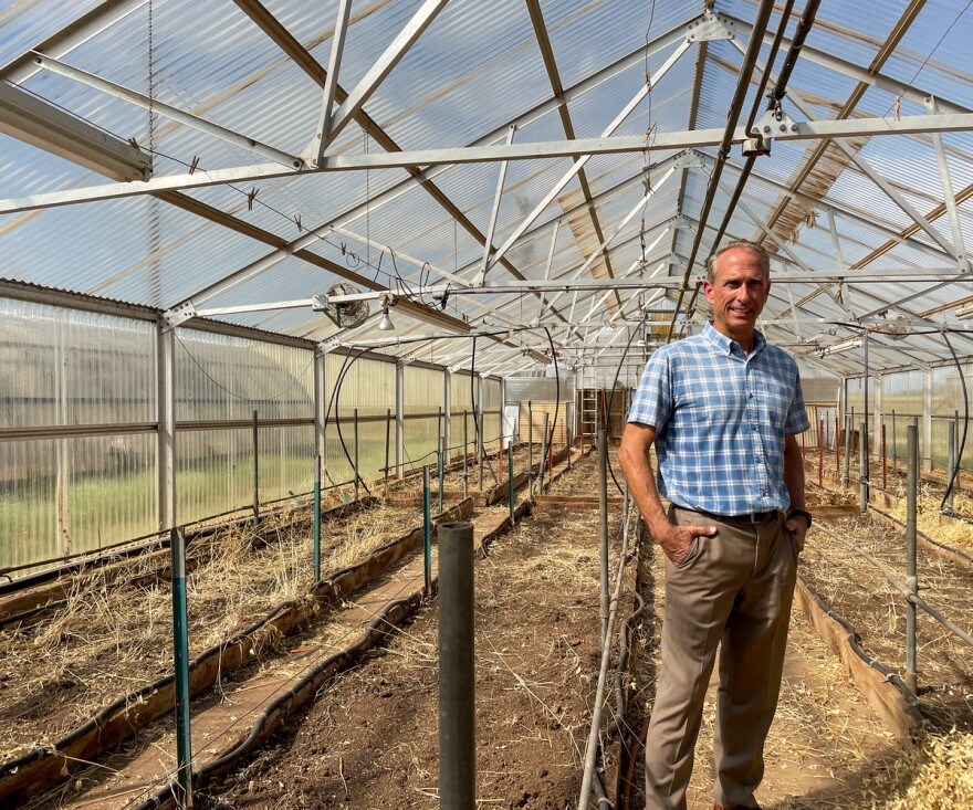man in blue pattern shirt stands in greenhouse with soil beds december 2021.