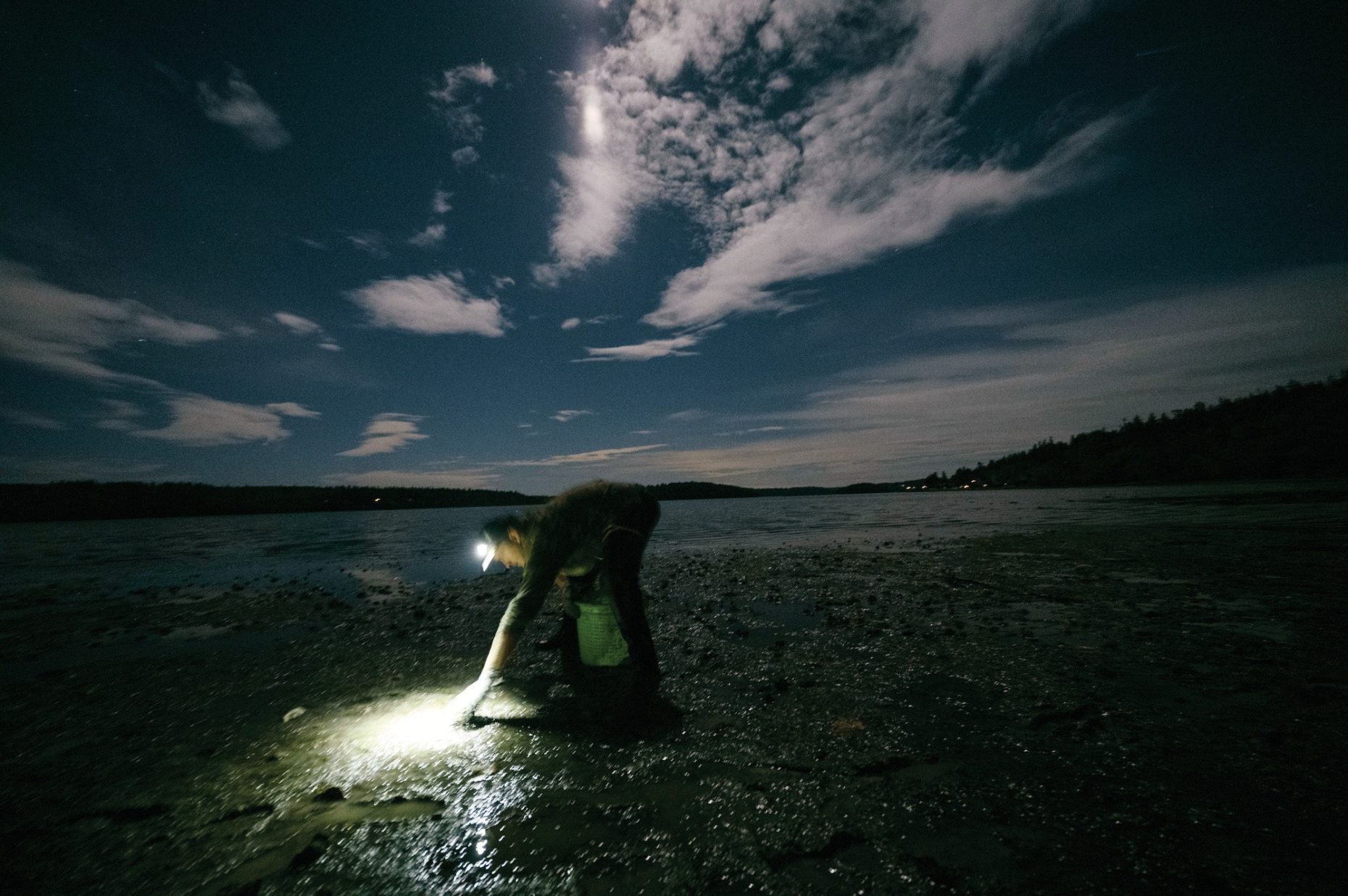 Stuart Shell Fish A shellfish company gets into the weeds | The Counter
