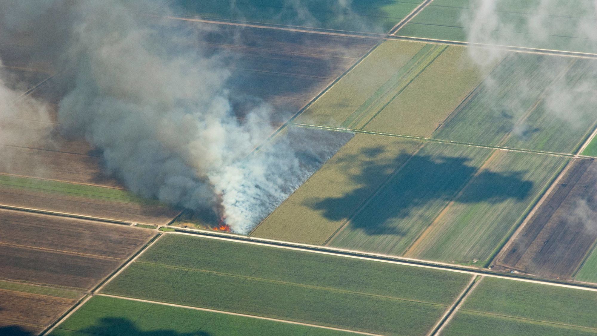 controlled burn of sugar cane in florida feature january 2022.