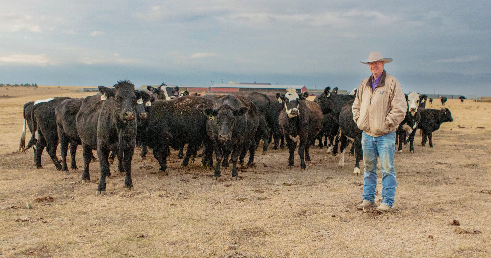 Rancher Kyle Hemmert. with his cattle near Oakley, Kansas on Monday, November 1, 2021.