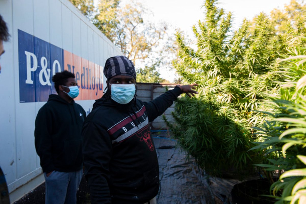 Demarkius Medley in a black hoodie and white mask on his hemp farm in Galesburg,Illinois on a sunny day with plants and a trailer in the background February 2022.