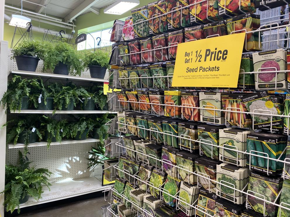 Fred Meyer in Greenwood, sell seeds and food-bearing plants on packed shelves with green plants in the background March 2022.