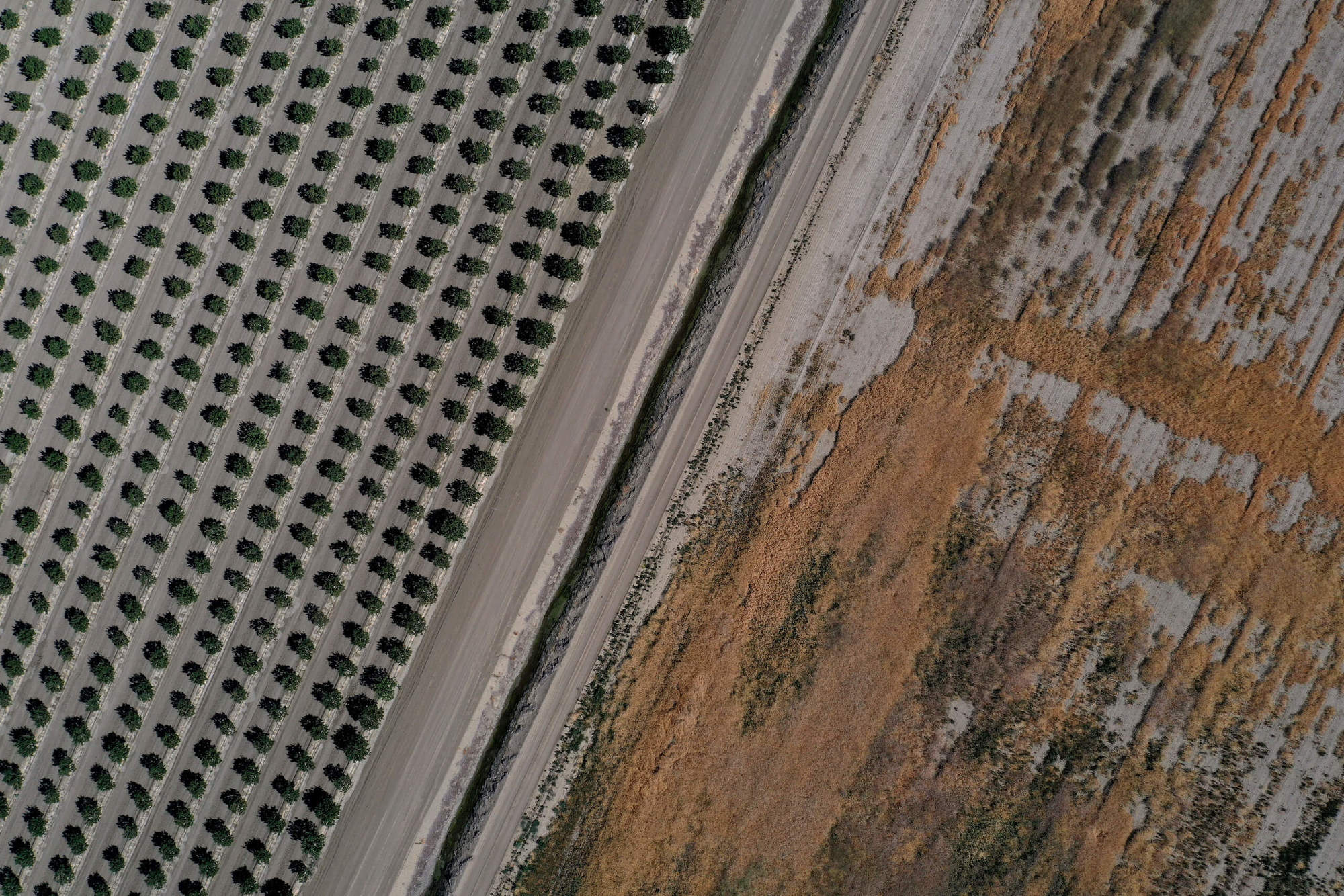 In an aerial view, an irrigation canal separates an almond orchard and a field that lies fallow on May 25, 2021 in Firebaugh, California.
