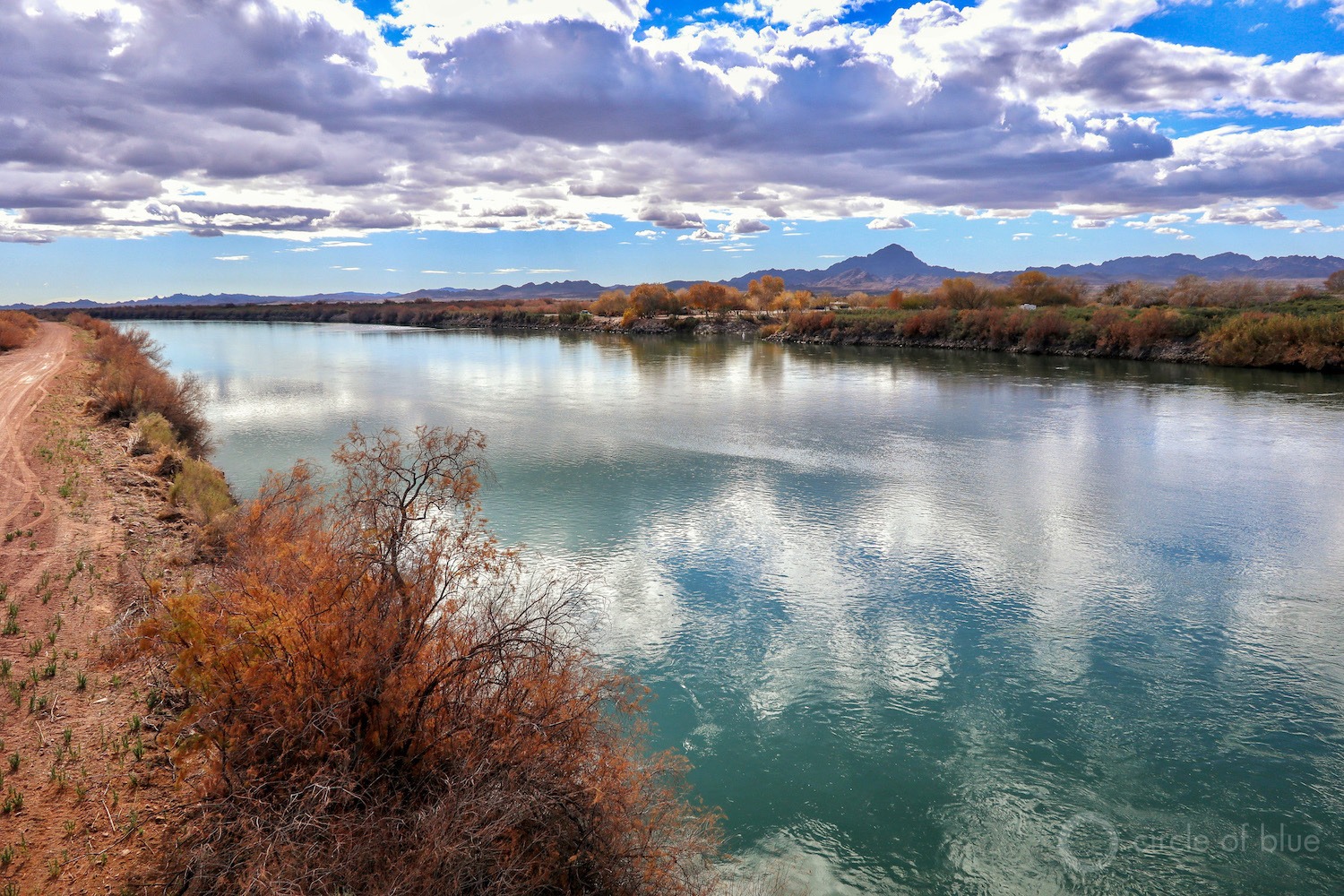 The Colorado River near Cibola, Ariz. A plan to transport river water from here to Queen Creek, a fast-growing Phoenix suburb, is supported by the state Department of Water Resources and protested by Colorado River counties.
