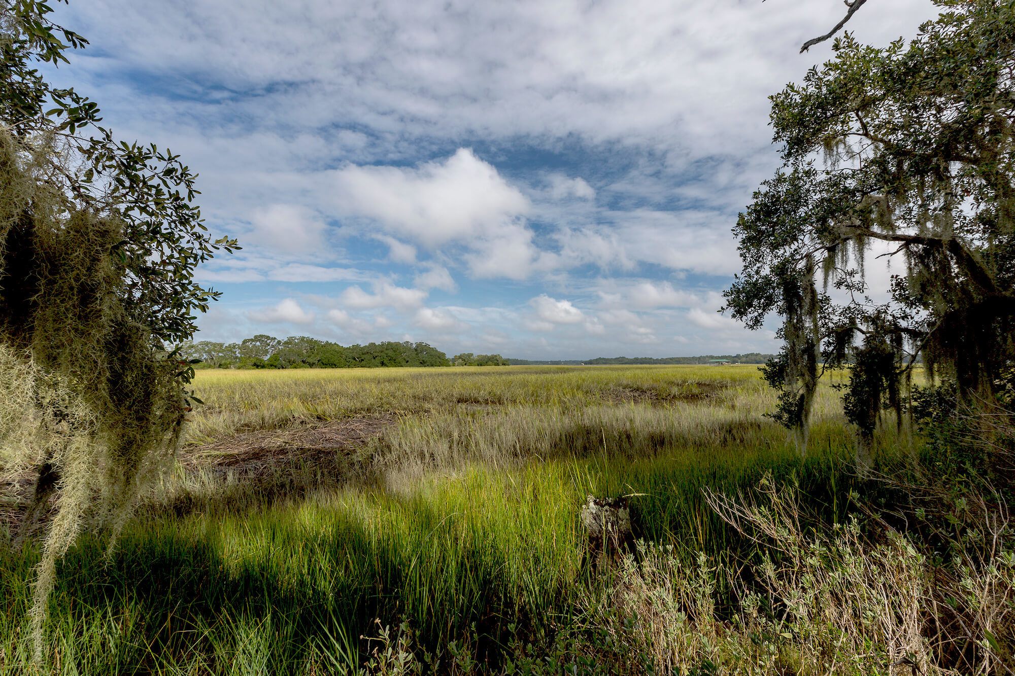 View of low country marsh environment on Wadmalaw Island is an island located in Charleston County, South Carolina, United States. March 2022