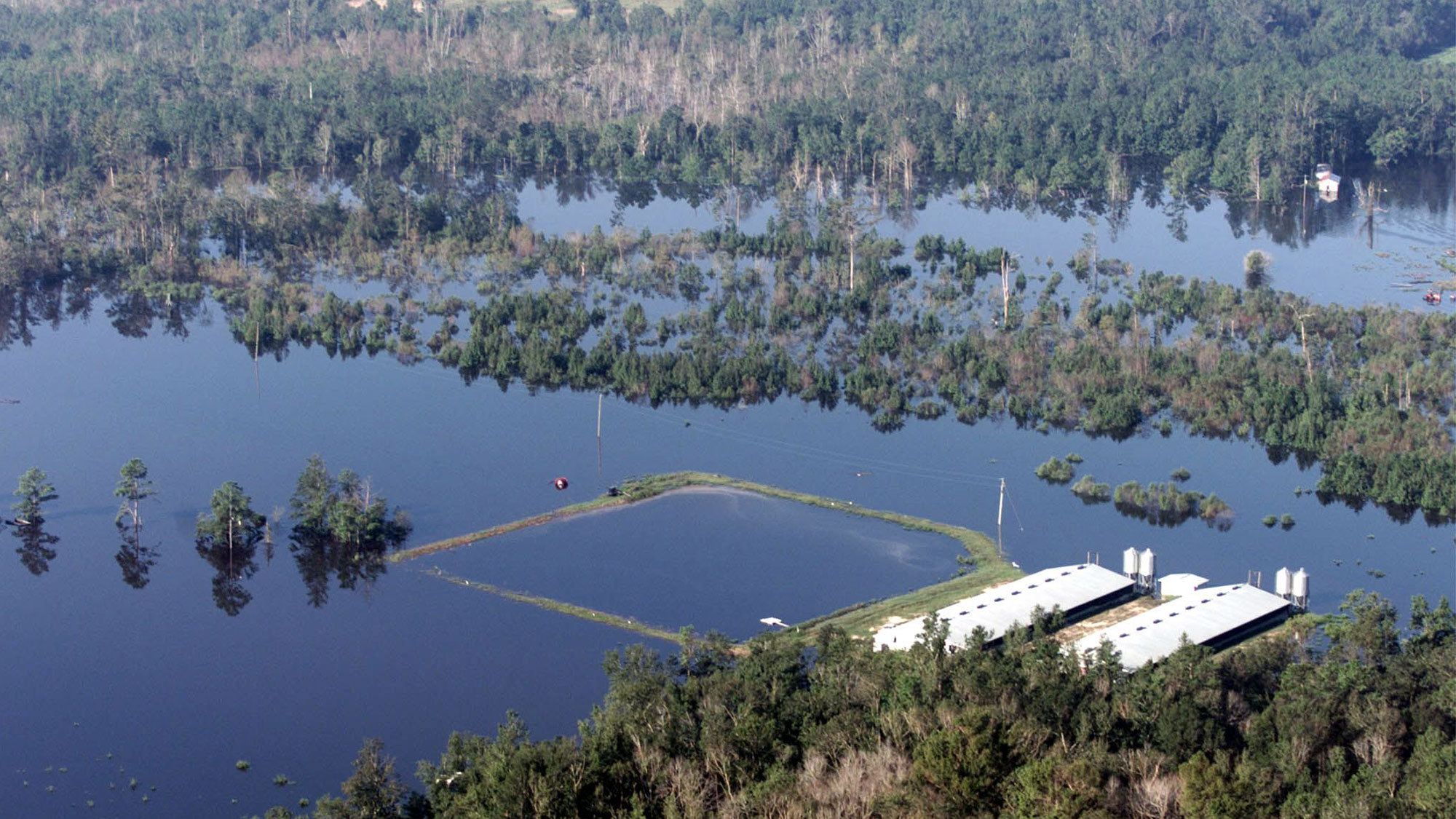 As flood waters from Hurricane Floyd begin to recede Saturday 18 September, 1999 environmental and health concerns have become obvious, such as this hog farm in eastern North Carolina near the town of Burgaw with it's adjacent hog waste lagoon April 2022.