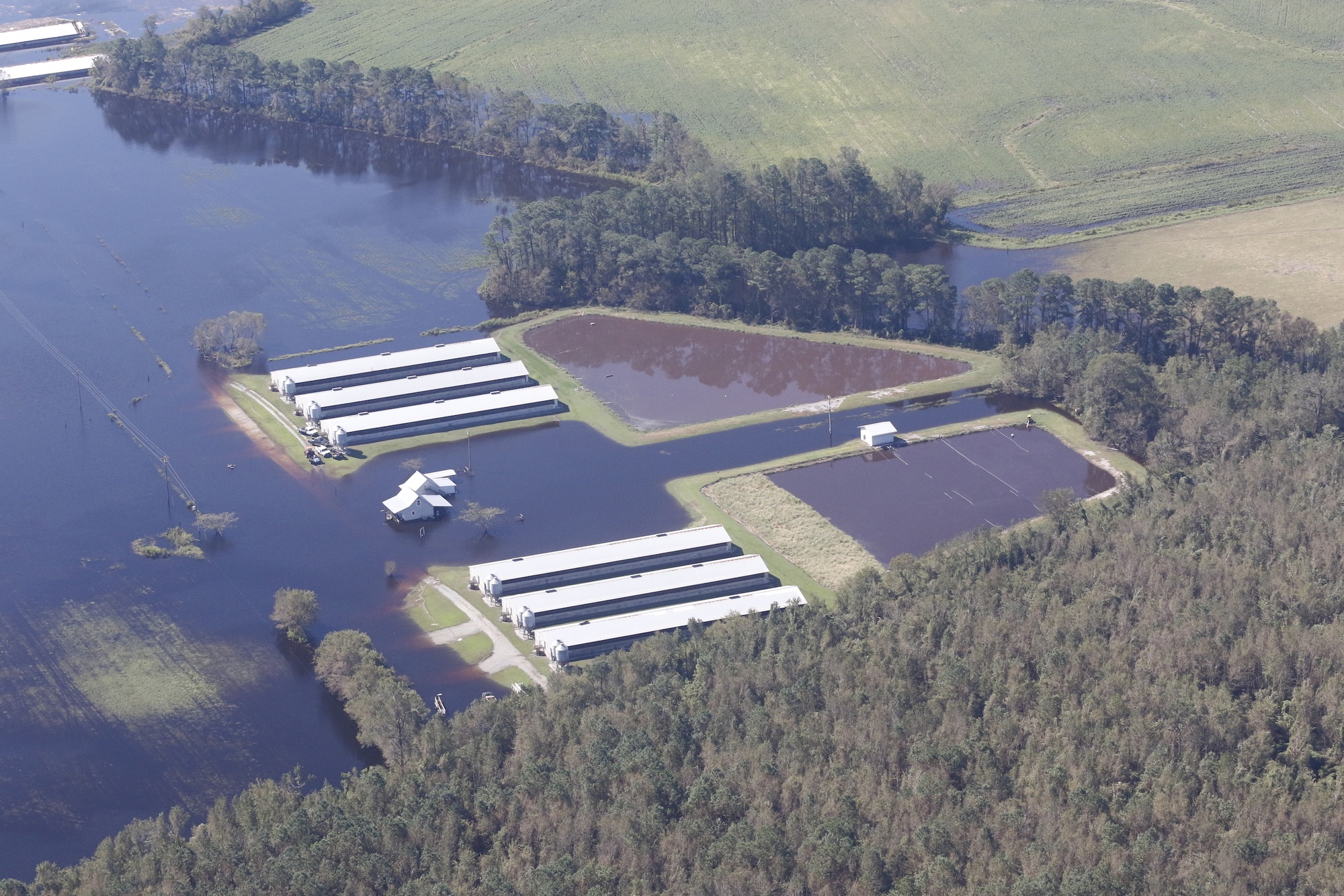 Aerial view of a CAFO hog farm in North Carolina flooding after a Hurricane in 2018.