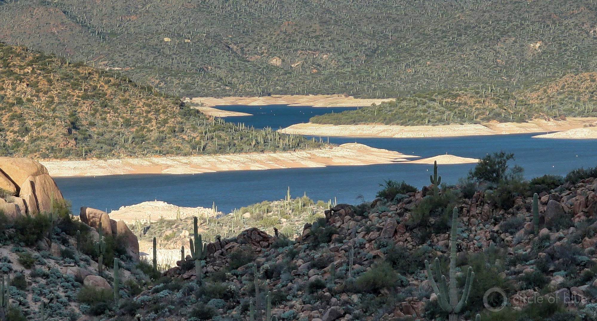 Telltale bathtub rings on Bartlett Lake, with trees above sand and water April 2022.