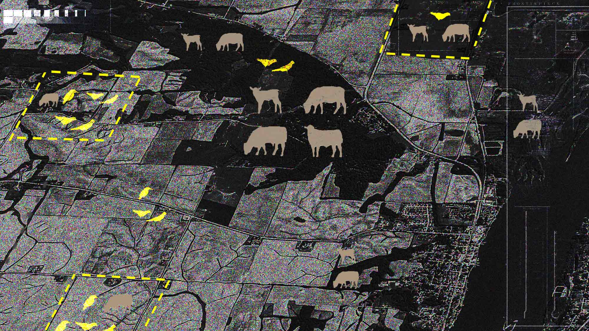A gray and black map with brown cattle and yellow birds in yellow boxes with bar overlays April 2022.