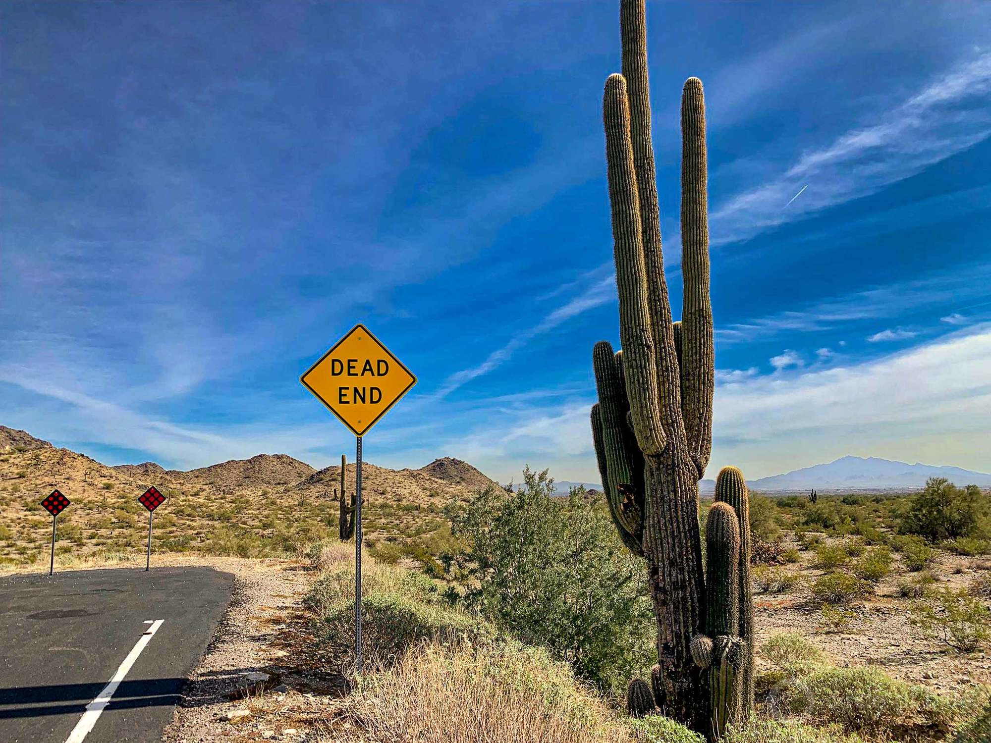 A cactus stands next to a yellow dead end sign on a sunny day April 2022.
